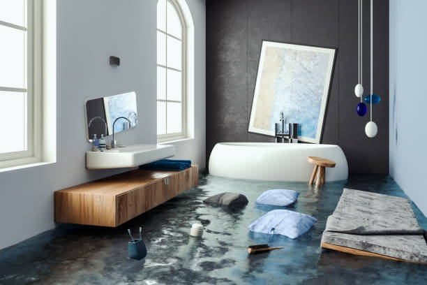Best Water damage cleanup near me  in Ligonier, IN