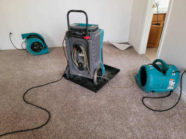 Best Residential water damage restoration  in Ligonier, IN