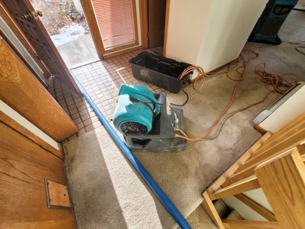 Best Fire Damage Restoration  in Ligonier, IN