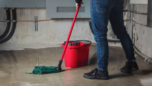 Best Local water damage restoration  in Ligonier, IN