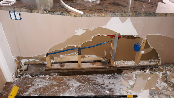 Best Flood damage cleanup  in Ligonier, IN