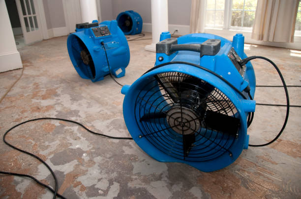Best Sewage cleanup and water damage restoration  in Ligonier, IN