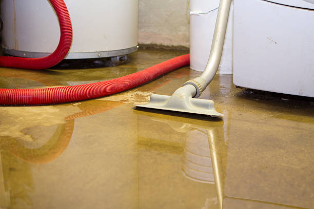 Best Carpet water damage restoration  in Ligonier, IN