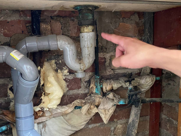 Best Water damage contractors near me  in Ligonier, IN